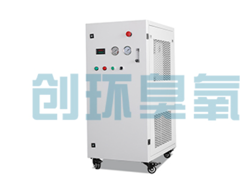 自贡石斑鱼养殖水质调控完整指南：臭氧发生器配置与操作步骤