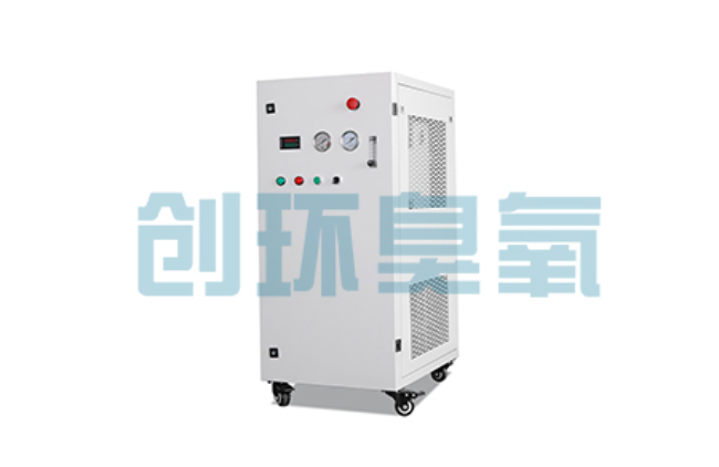 自贡比传统换水更高效？臭氧发生器在石斑鱼养殖中的水质净化原理解析